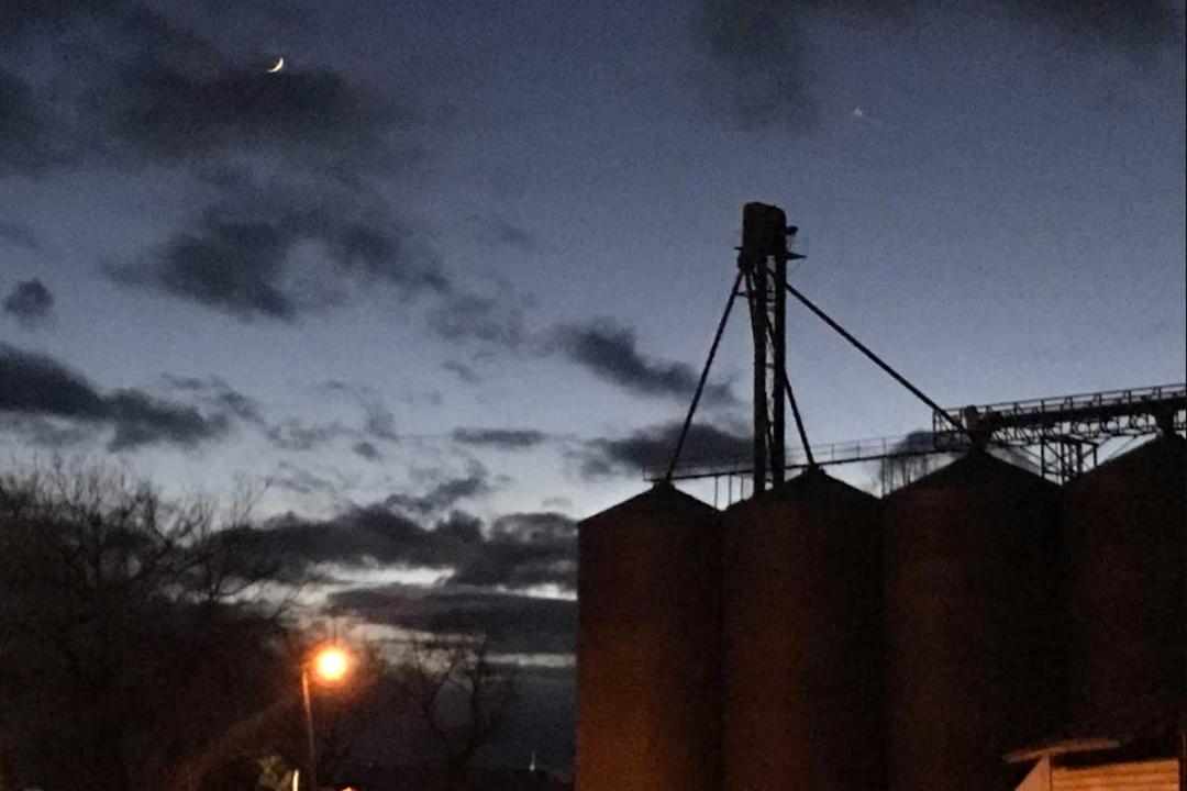 Reinke Grain