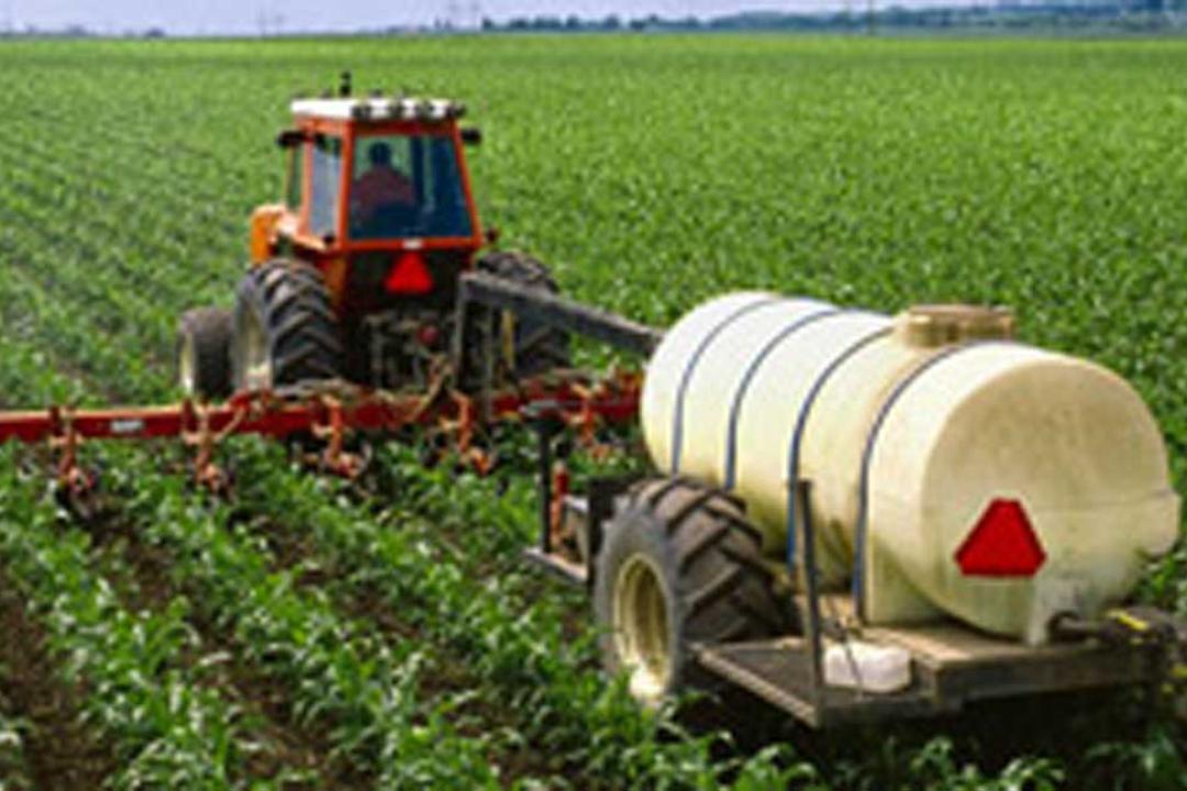Simplot