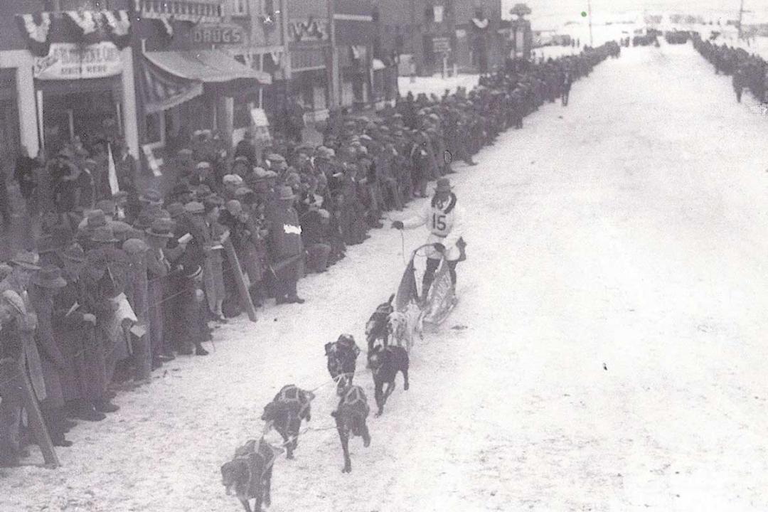 American Dog Derby