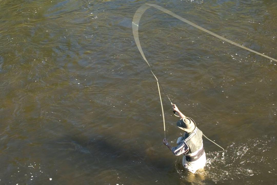 Fly Fishing near Ashton, Idaho
