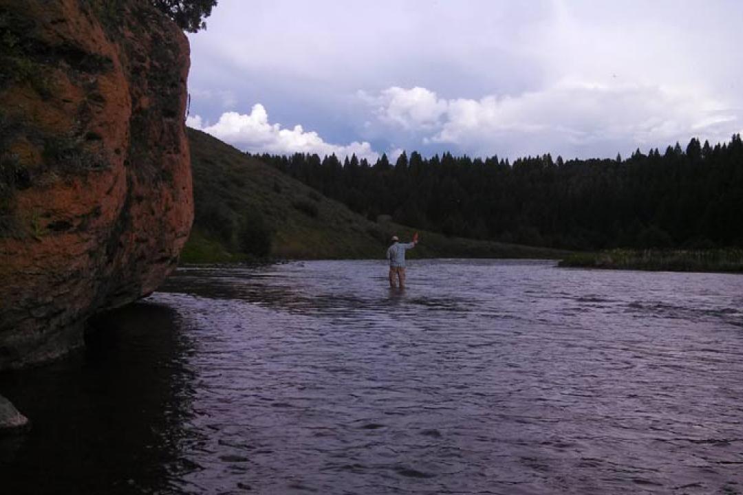 Fly Fishing on the Henry's Fork of the Snake River