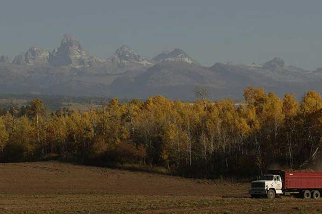 Flying A Ranch