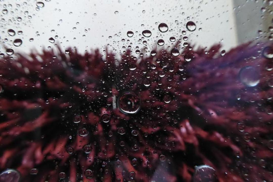 Ashton Car Wash