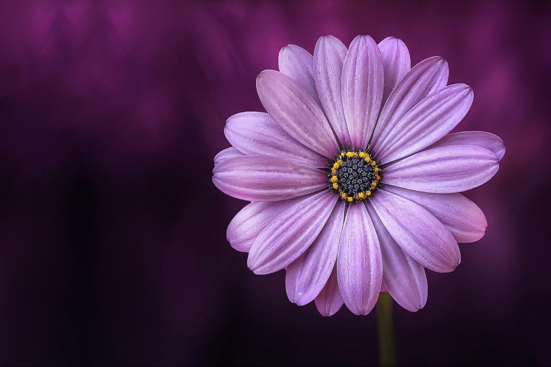 J&B Floral