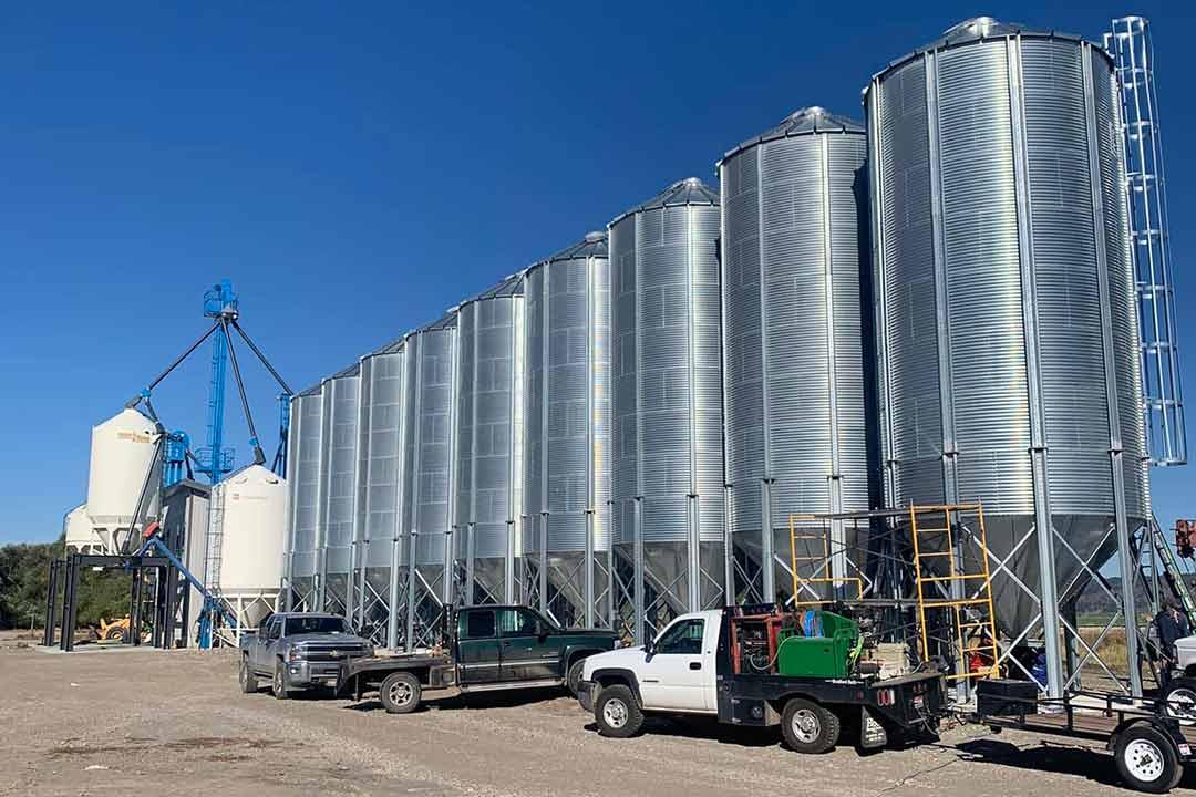 Reinke Grain