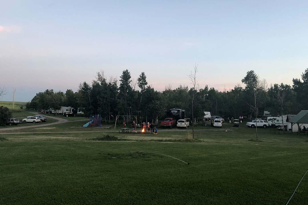 Fun Summer Nights